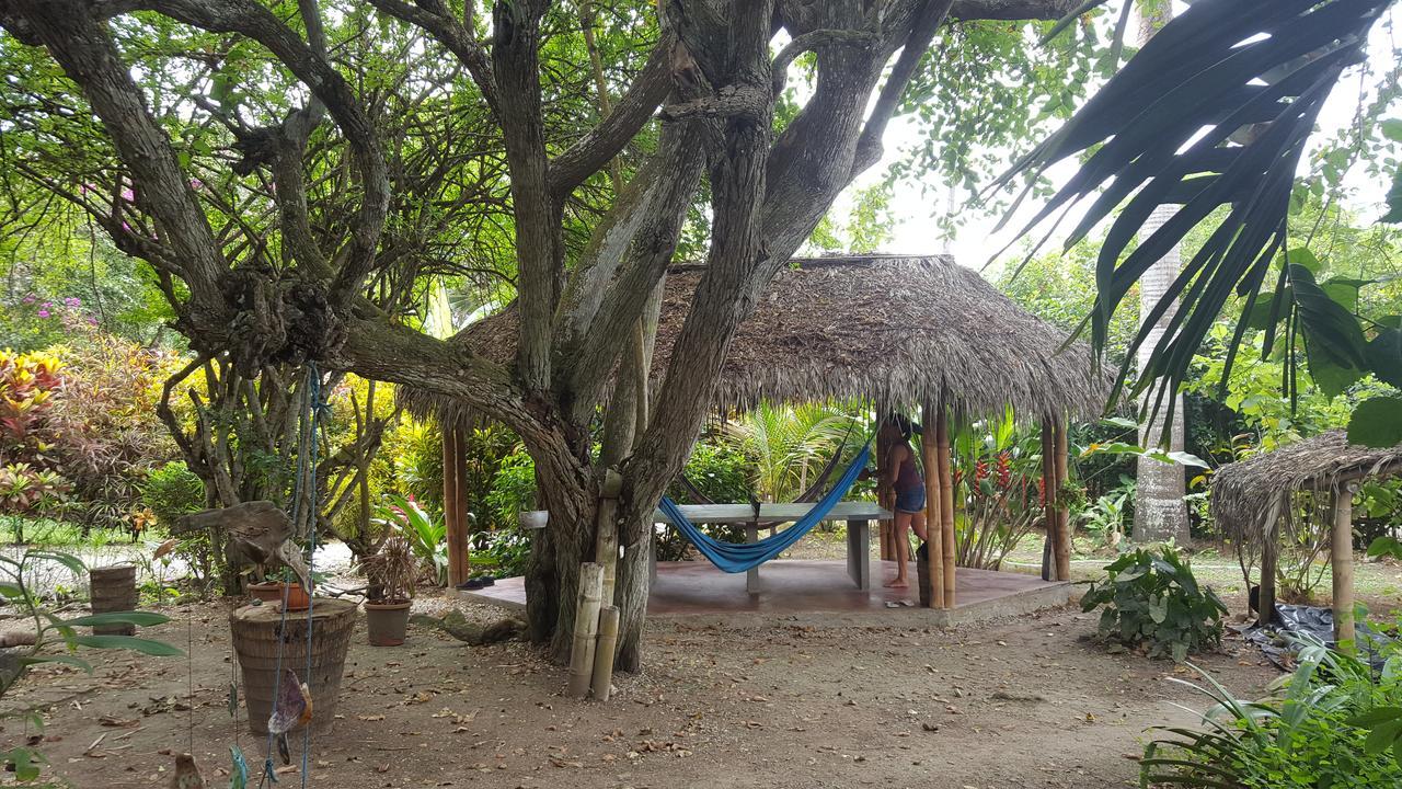Las Cabanas De La Iguana Аямпе Екстериор снимка